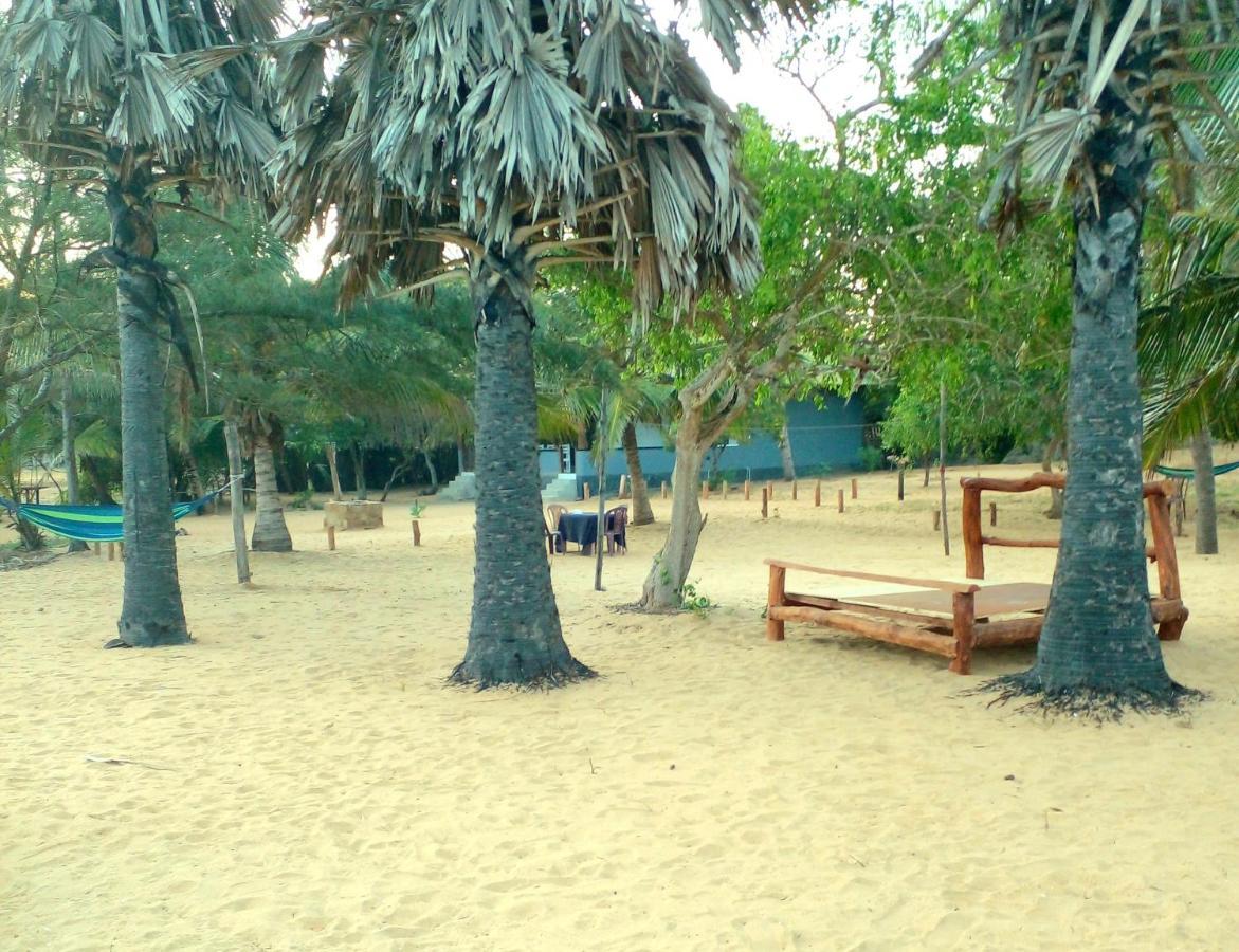 קירינדה Beach Bungalow Yala מראה חיצוני תמונה