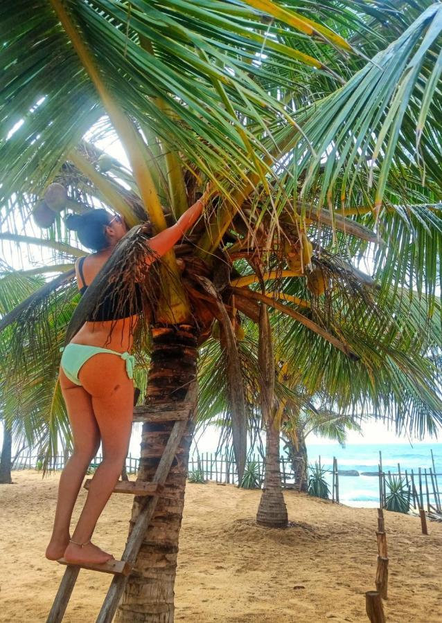 קירינדה Beach Bungalow Yala מראה חיצוני תמונה