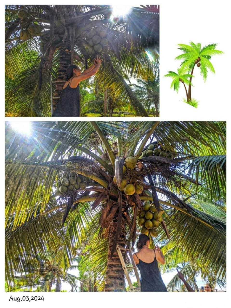 קירינדה Beach Bungalow Yala מראה חיצוני תמונה